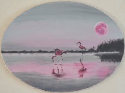 Flamands-roses